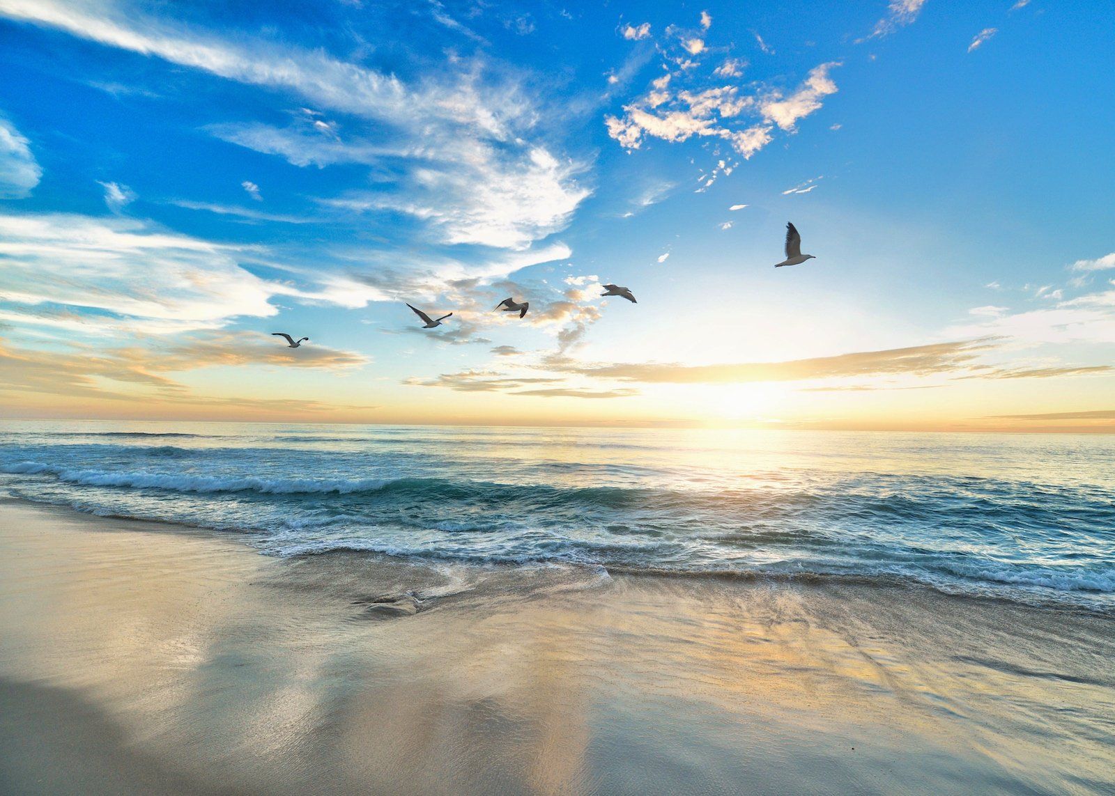 Sunrise & Sunset