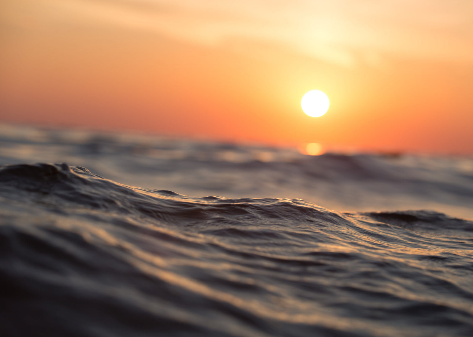 Waterscapes