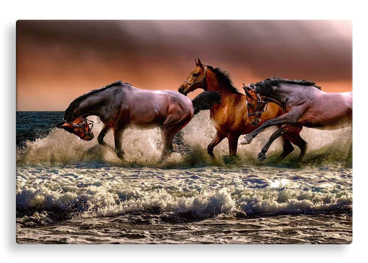 Horses Running in Sea