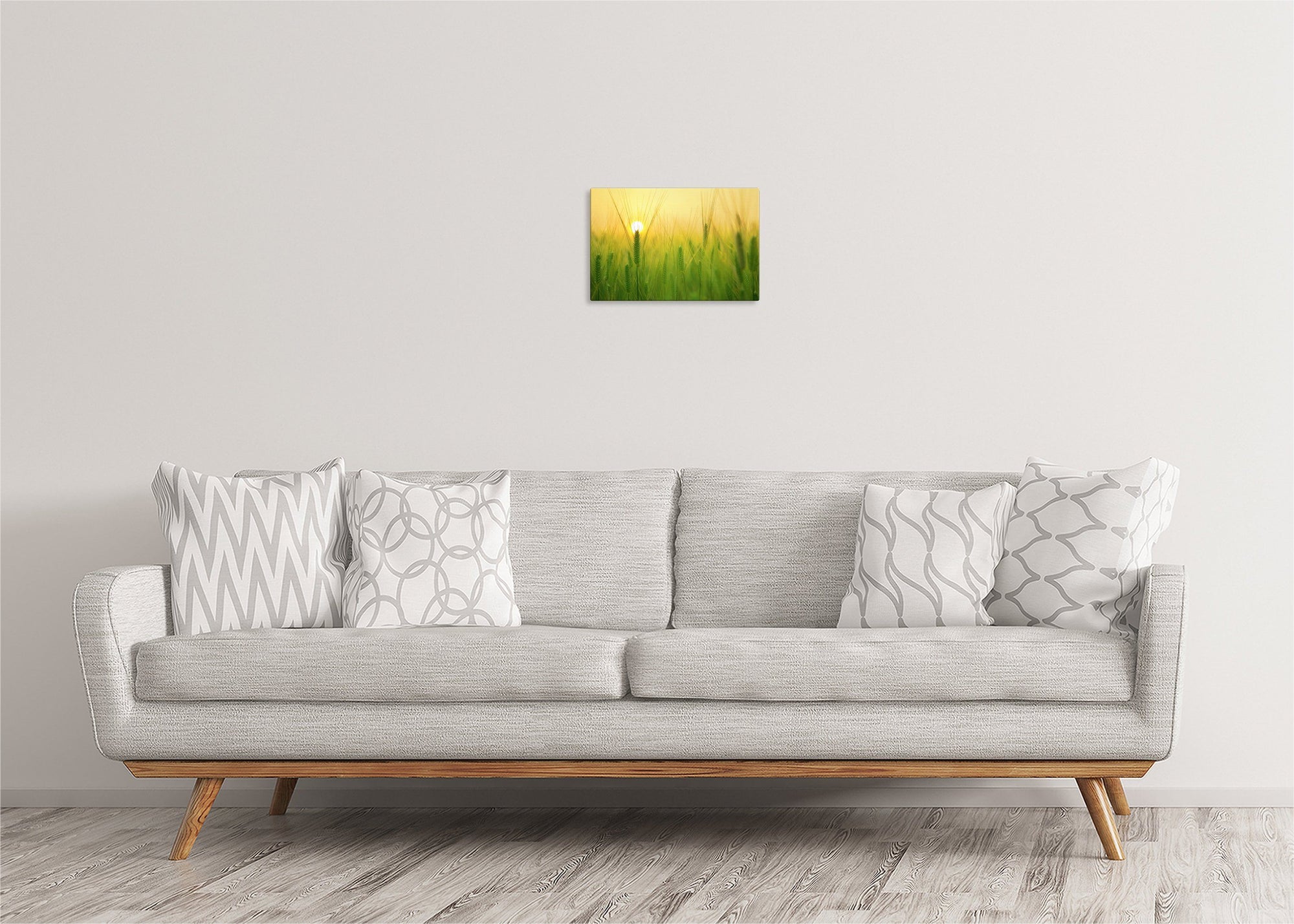 Barley Field at Sunrise