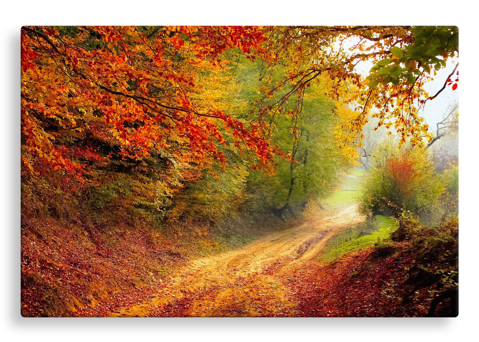 Autumn Road