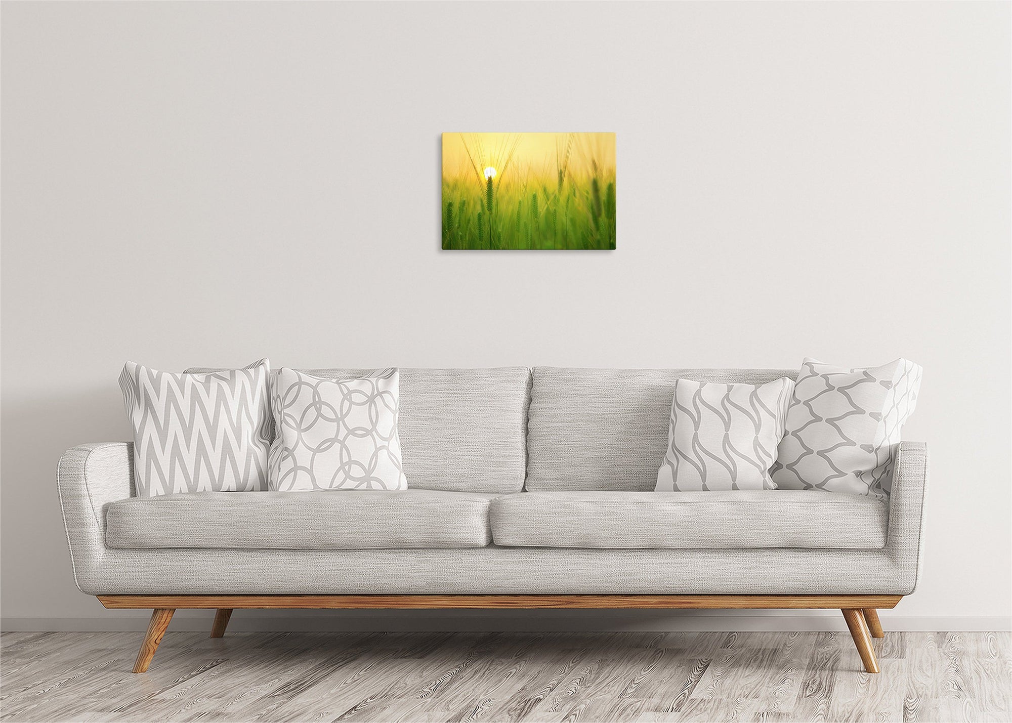 Barley Field at Sunrise