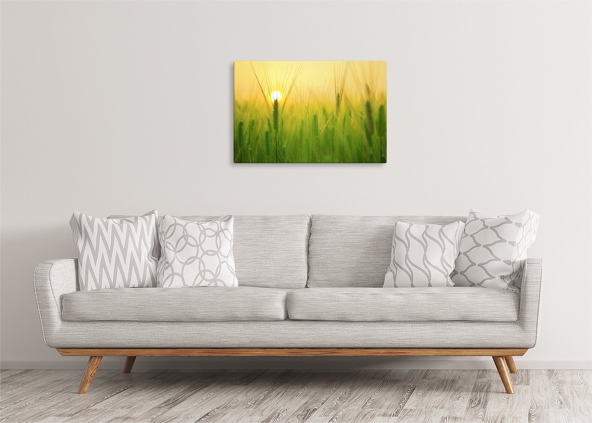 Barley Field at Sunrise