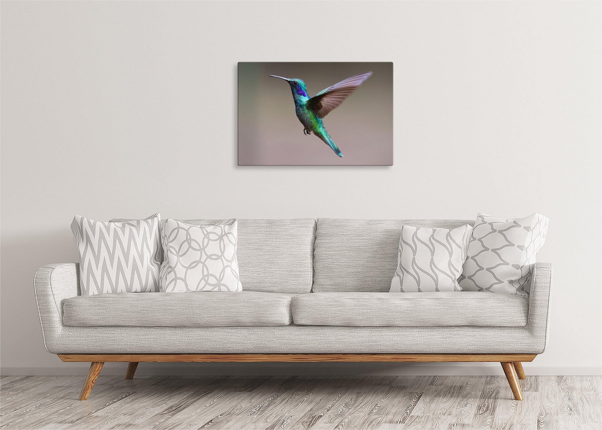 Hummingbird in Flight
