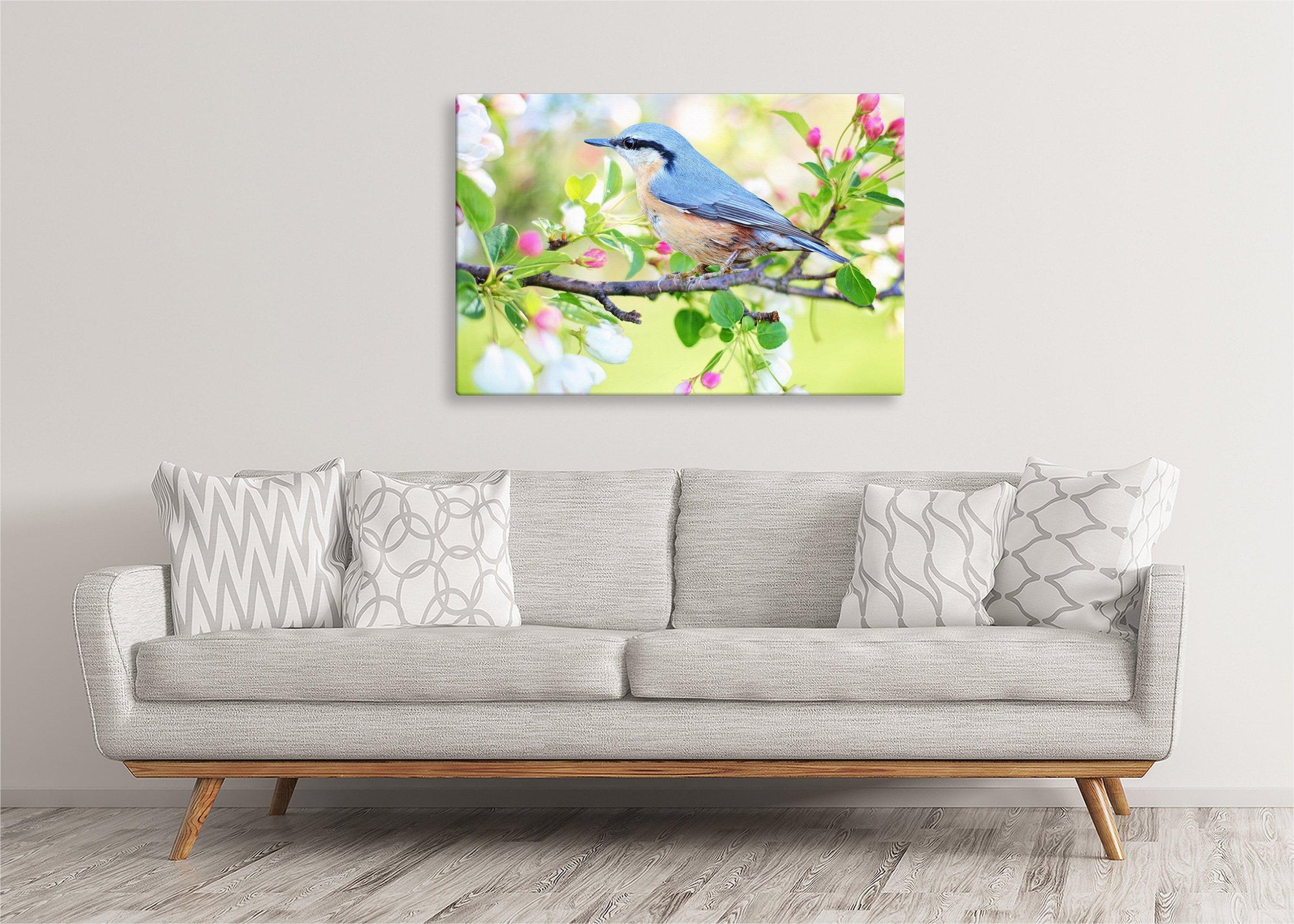 Red-Breasted Nuthatch