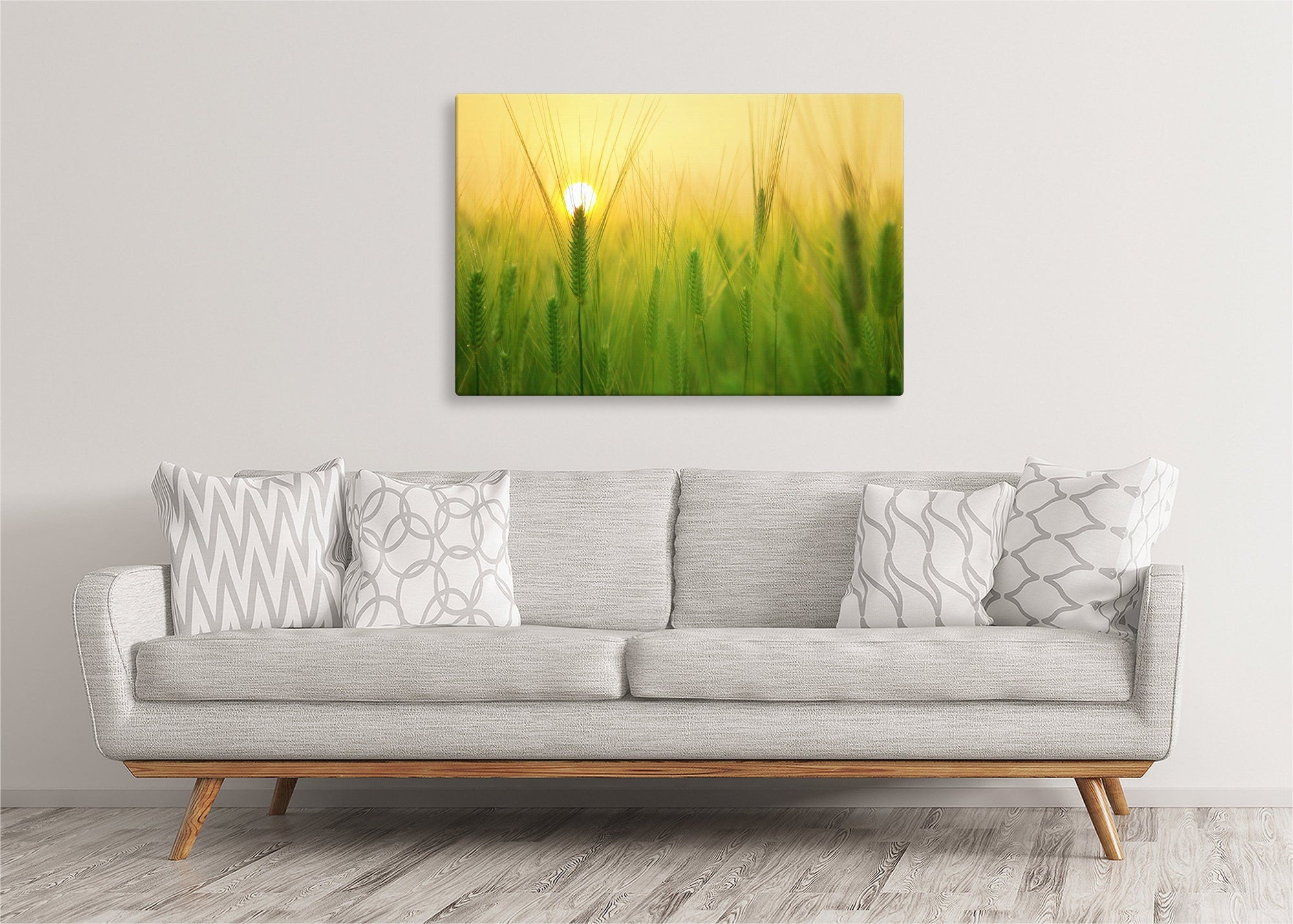 Barley Field at Sunrise